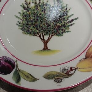 1855 Email De Limoges By Godin̈ger Co. Pastry Plate